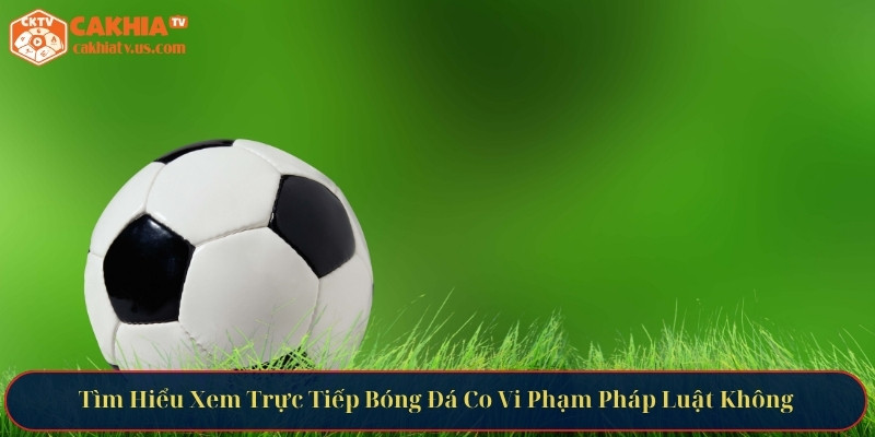 Xem trực tiếp bóng đá có vi phạm pháp luật không